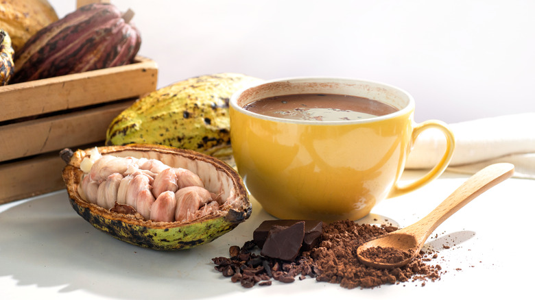 cacao tea next to cacao fruit and grounds
