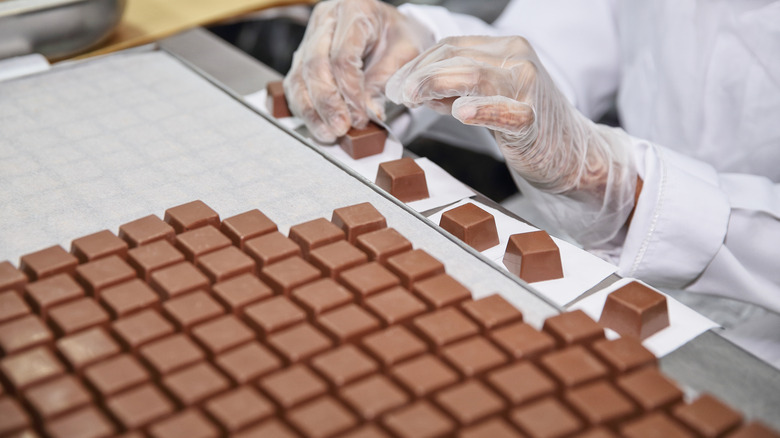 Person assembling chocolate pieces in factory