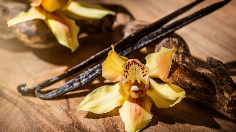 Vanilla bean pods and vanilla flowers