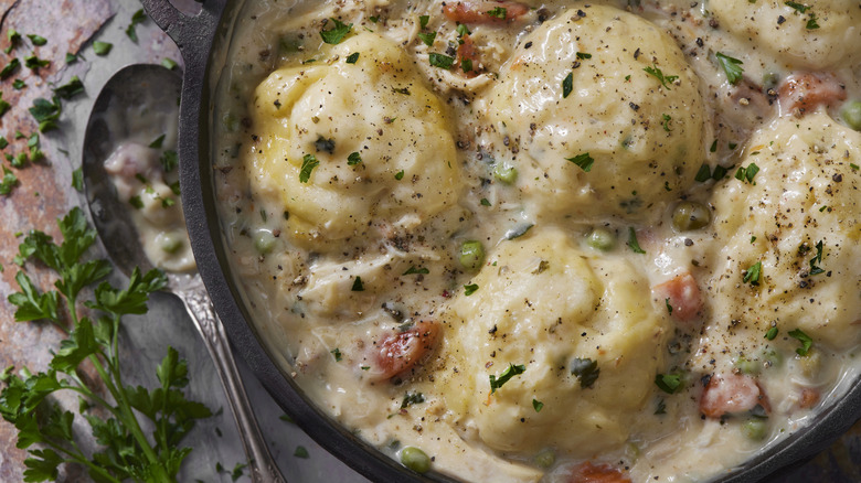 A close-up of a chicken and dumplings dish