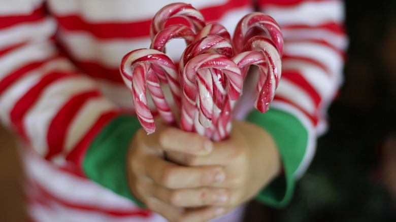 Child in a red and white striped sweater holding a bundle of candy canes