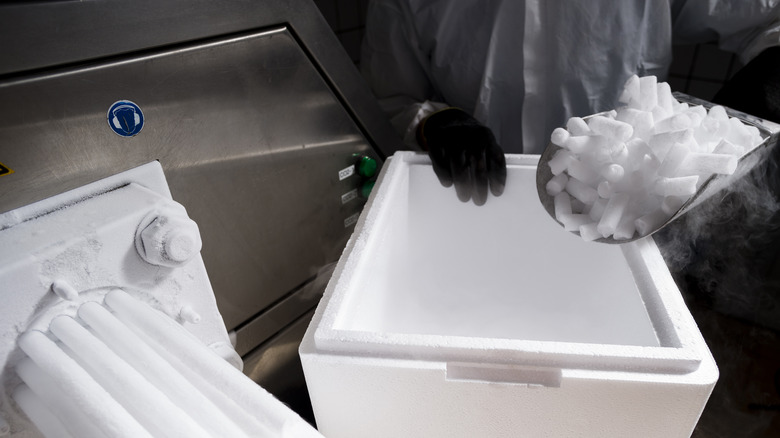 Person wearing gloves scooping dry ice into styrofoam cooler