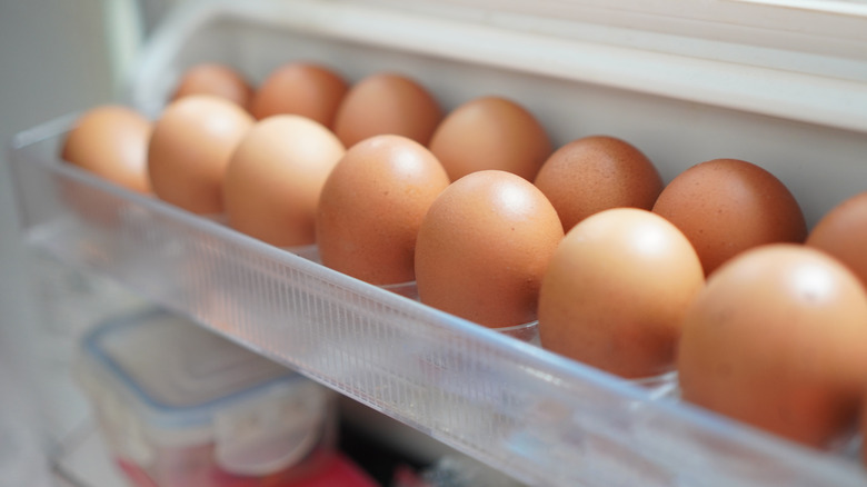 14 brown eggs sit on a refrigerator door in two rows of seven