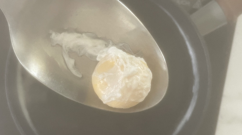 poached egg in spoon