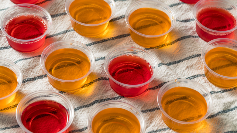 Rows of Jell-O shots