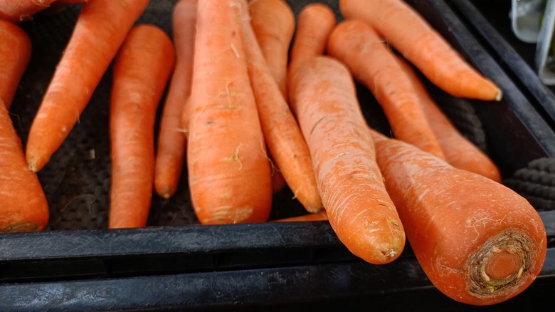 Unpeeled carrots in black pan