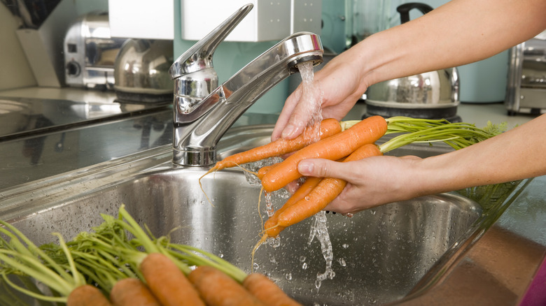 Hands washing carrots in sink