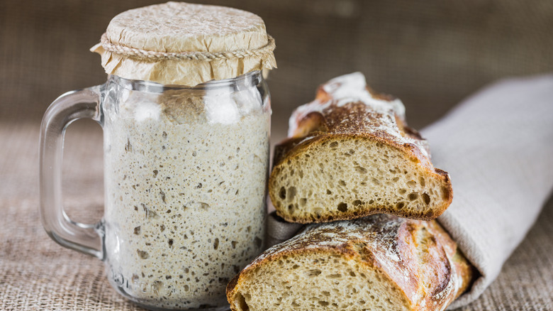 Sourdough starter and loaves