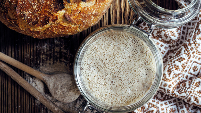 Biga in jar with bread loaf