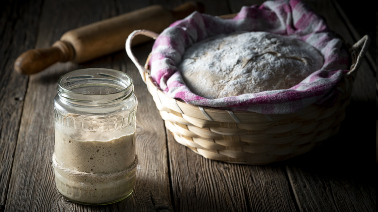 Sourdough starter with rising loaf