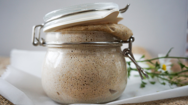 Active levain in glass jar