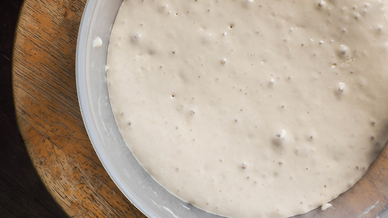 Poolish starter in white bowl