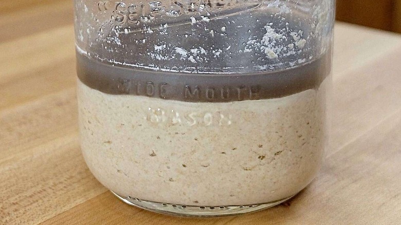 Hooch on top of sourdough starter