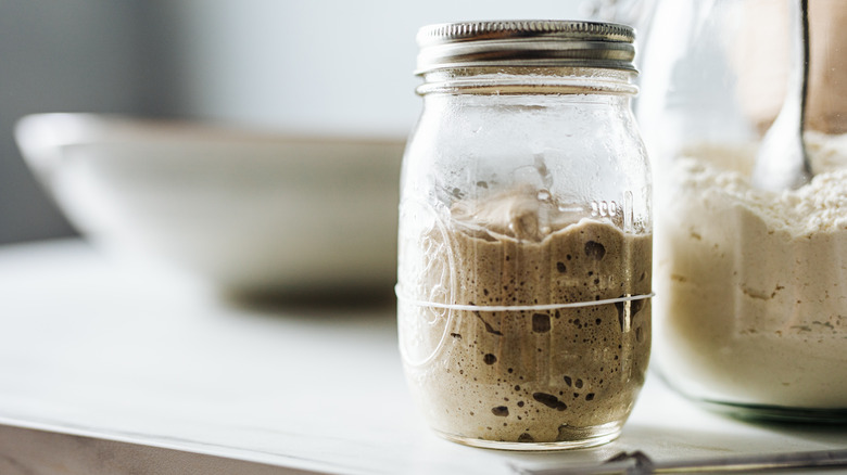 Sourdough starter in glass jar