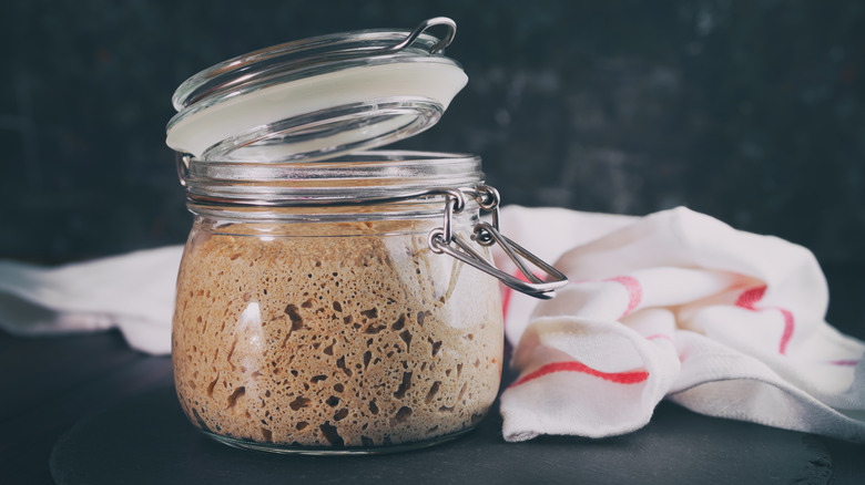 Wild yeast starter in glass jar