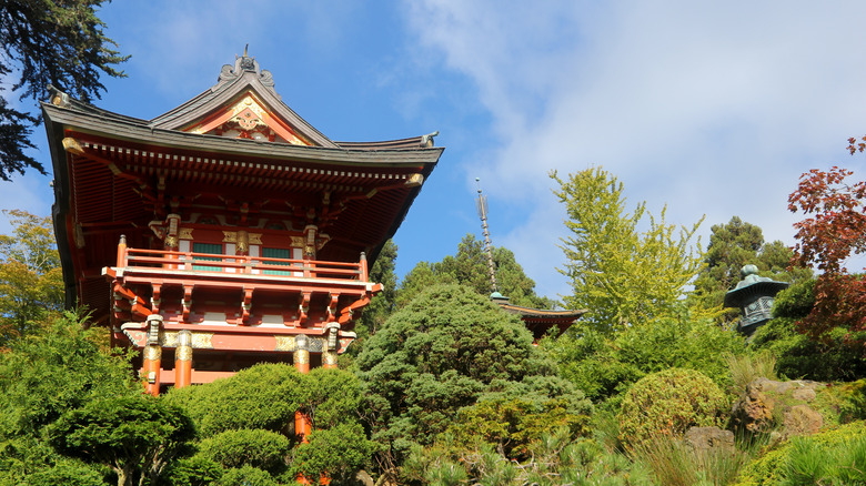 building and plants at San Francisco's Japanese Tea Garden