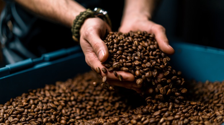 Person holding coffee beans