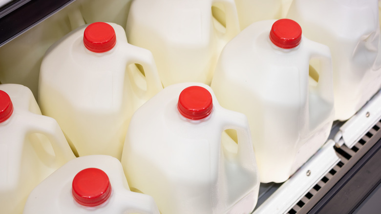 Milk jugs in refrigerator at store