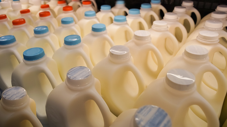Plastic jugs of milk