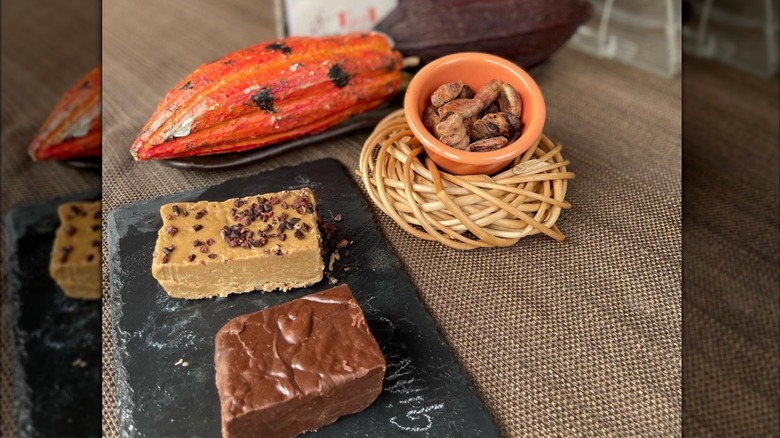 Two types of fudge are displayed next to cacao pods