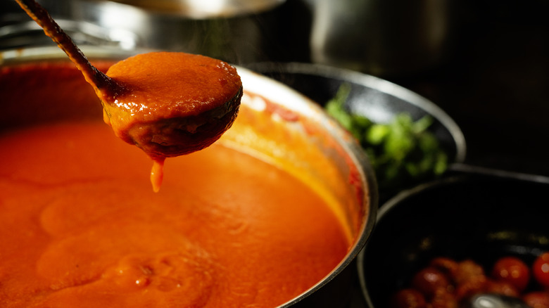 Ladle of tomato sauce
