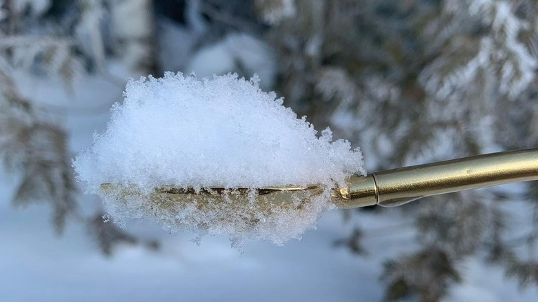 Golden spork scooping snow