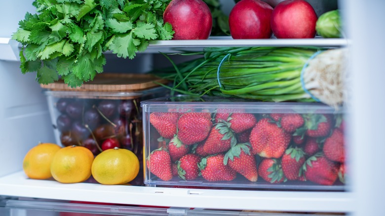 fruit and vegetables in fridge 