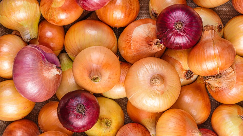 A variety of onions together in a pile