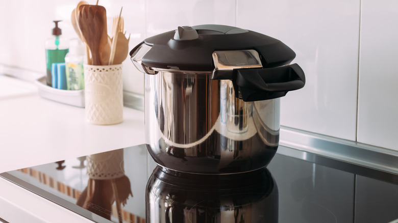 A pressure cooker sits on the stovetop.