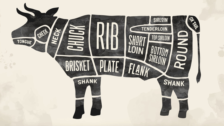 diagram of beef butcher cuts