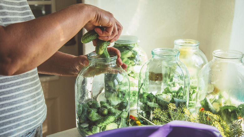 A home cook places pickling ingredients into large jars