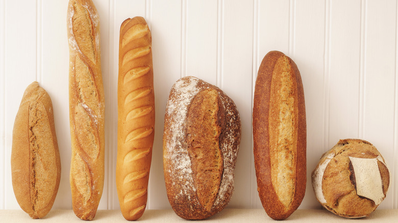 Six loaves of different breads in various sizes