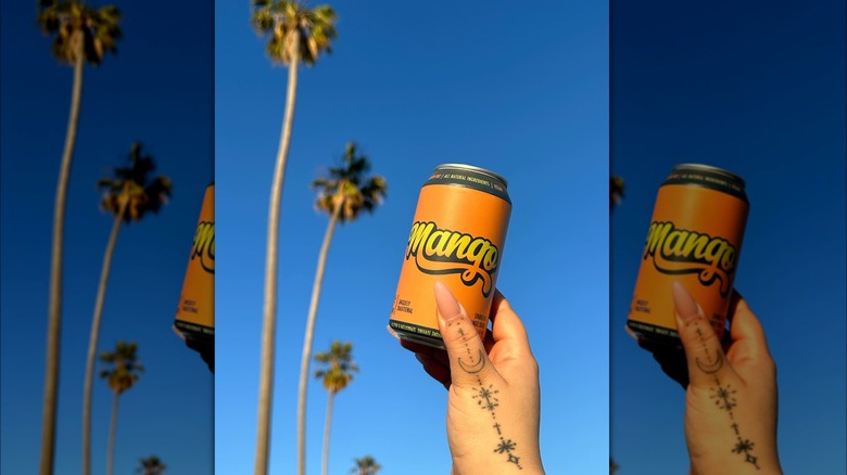 A mango Fresco Naturales held up to the sky by a hand