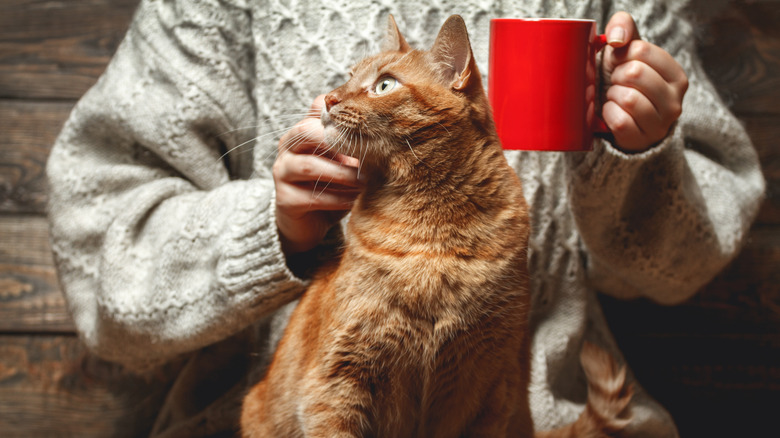 woman holding coffee and cat