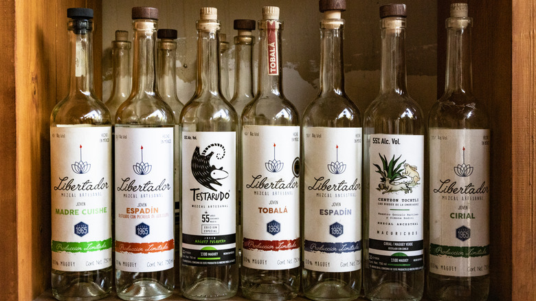 Get To Know The 3 Types Of Mezcal