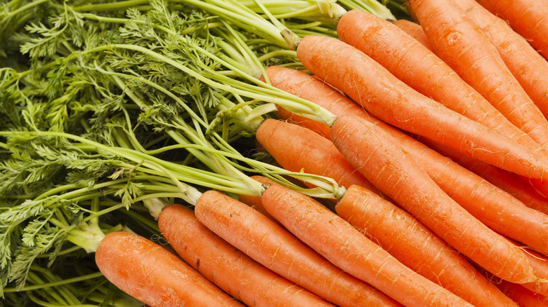 pile of raw carrots