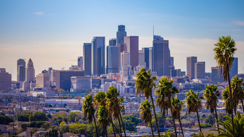 a cityscape shot of Los Angeles