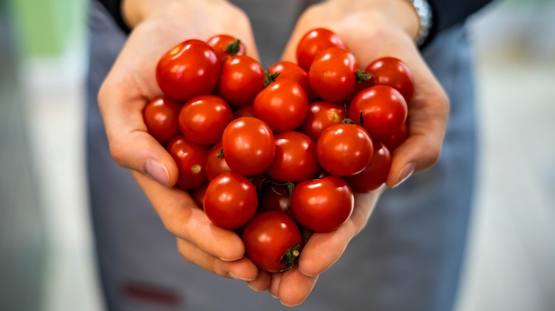 Two hands cupped in heart shape holding tomatoes