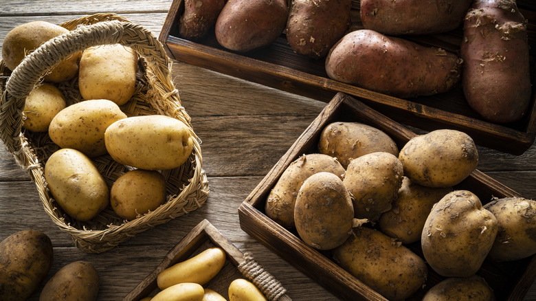 Various types of potatoes on a table