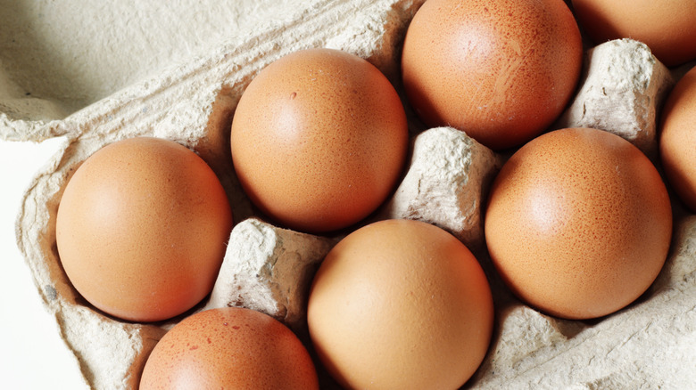 eggs in egg carton