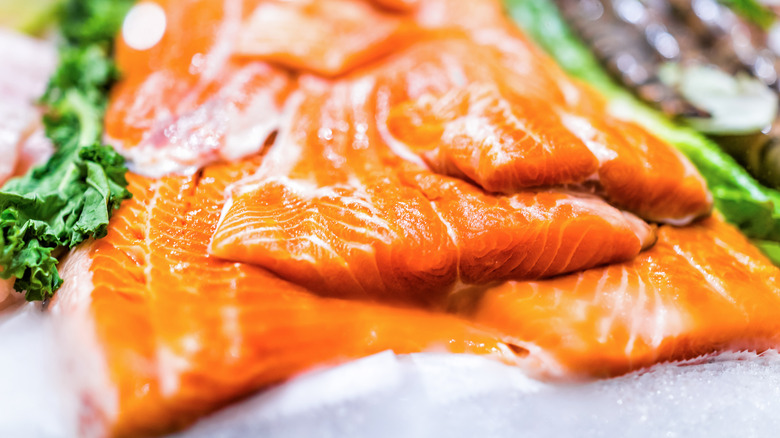 close-up of farmed salmon