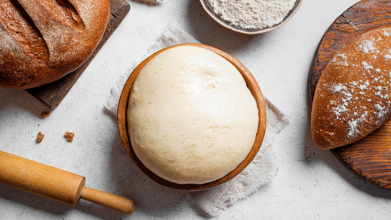 Proofing bread dough surrounded by baked loaves, flour, and a rolling pin