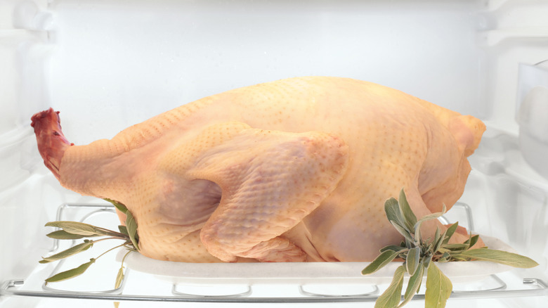 Whole raw turkey in refrigerator