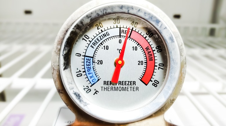 Freezer thermometer at 40 degrees