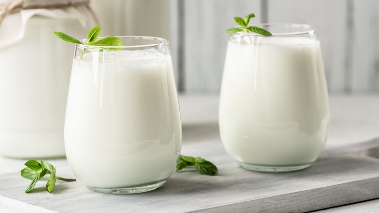 Two glasses of buttermilk with mint leaves