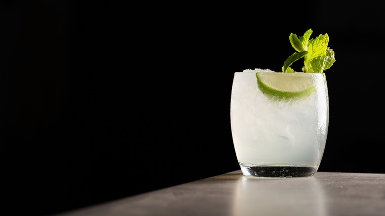 vodka Moscow mule with lime and mint garnish