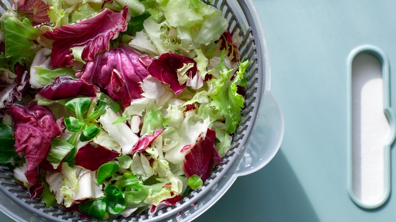 A mix of salad vegetables in a salad spinner.