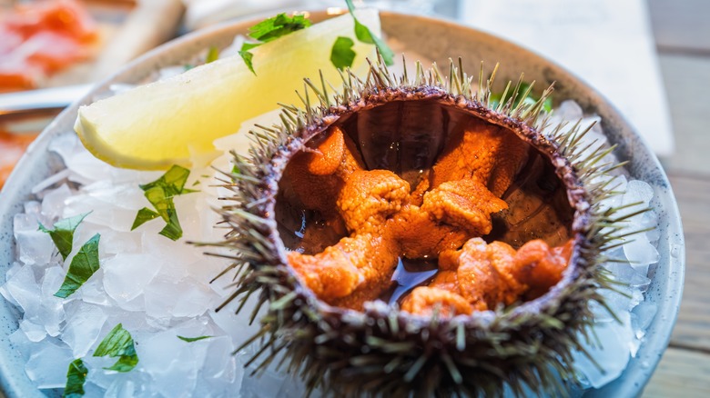 A sea urchin sitting on a bed of ice is cut in half reveals the inner, orange-colored, raw meat