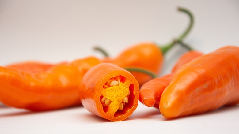 long orange pepper