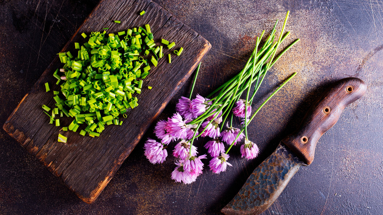 Diced chives sit on a wooden cutting board, and a bunch of full chives with their blossoms sit on the table adjacent along with a sheathed knife